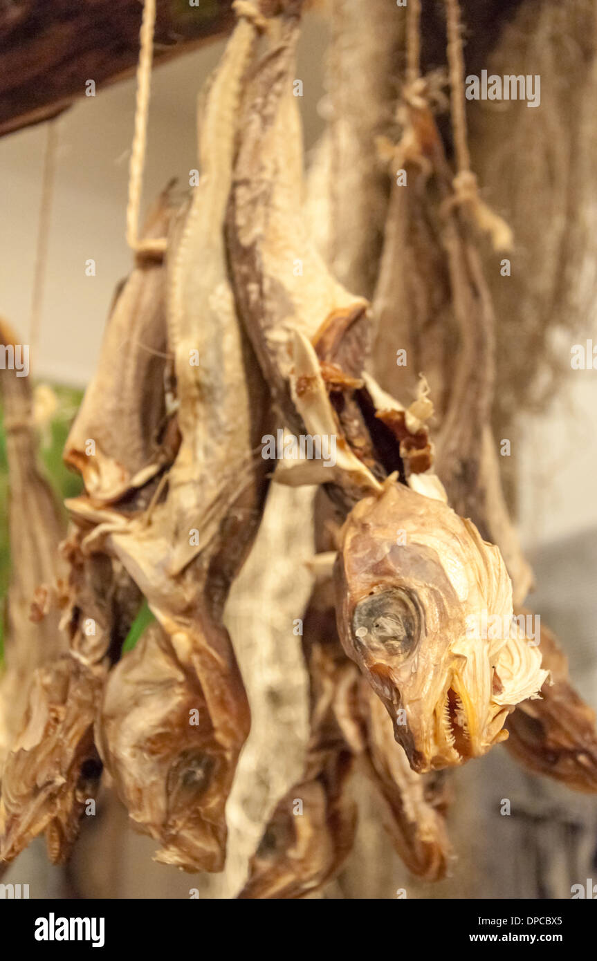 Dried Cod fish in Iceland Stock Photo Alamy