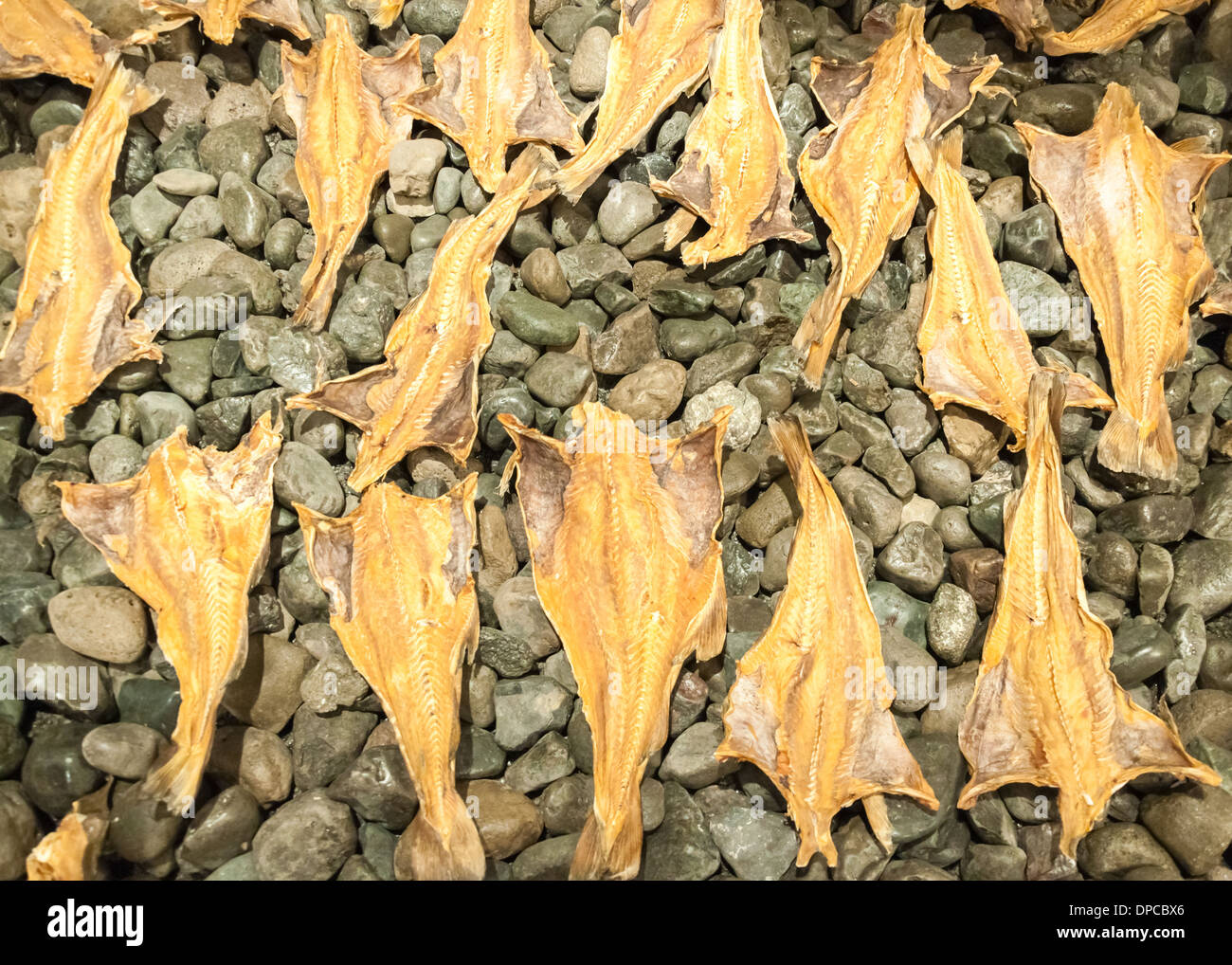 Dried Cod fish in Iceland Stock Photo Alamy