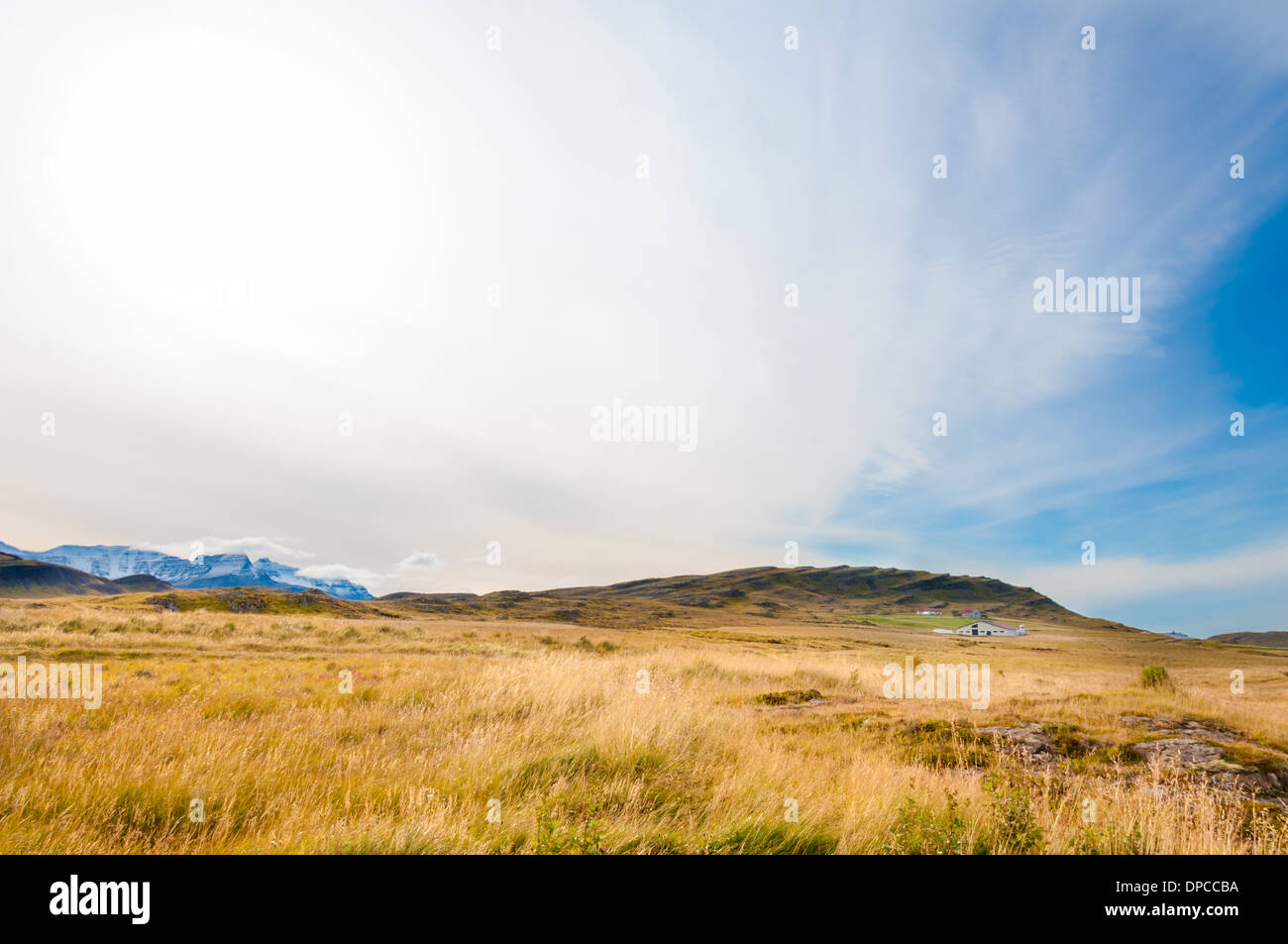 Icelandic landscape with volcanic rocks and green grass Stock Photo Alamy