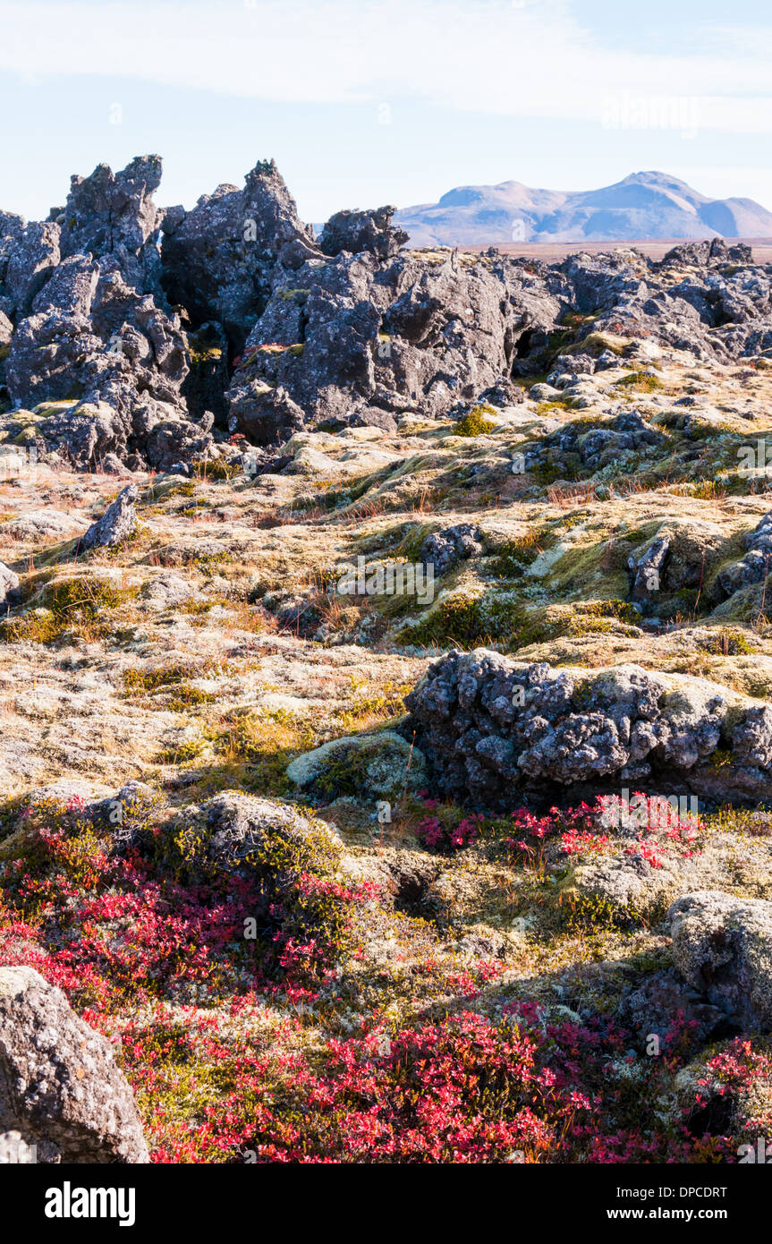 Lava rocks in iceland hi-res stock photography and images - Alamy