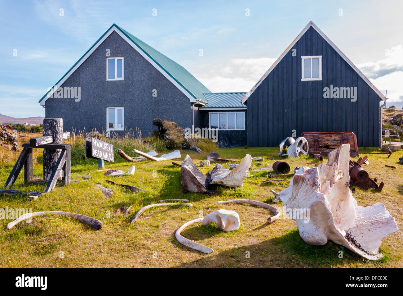 Whale bones in Djúpalónssandur museum, Iceland Stock Photo