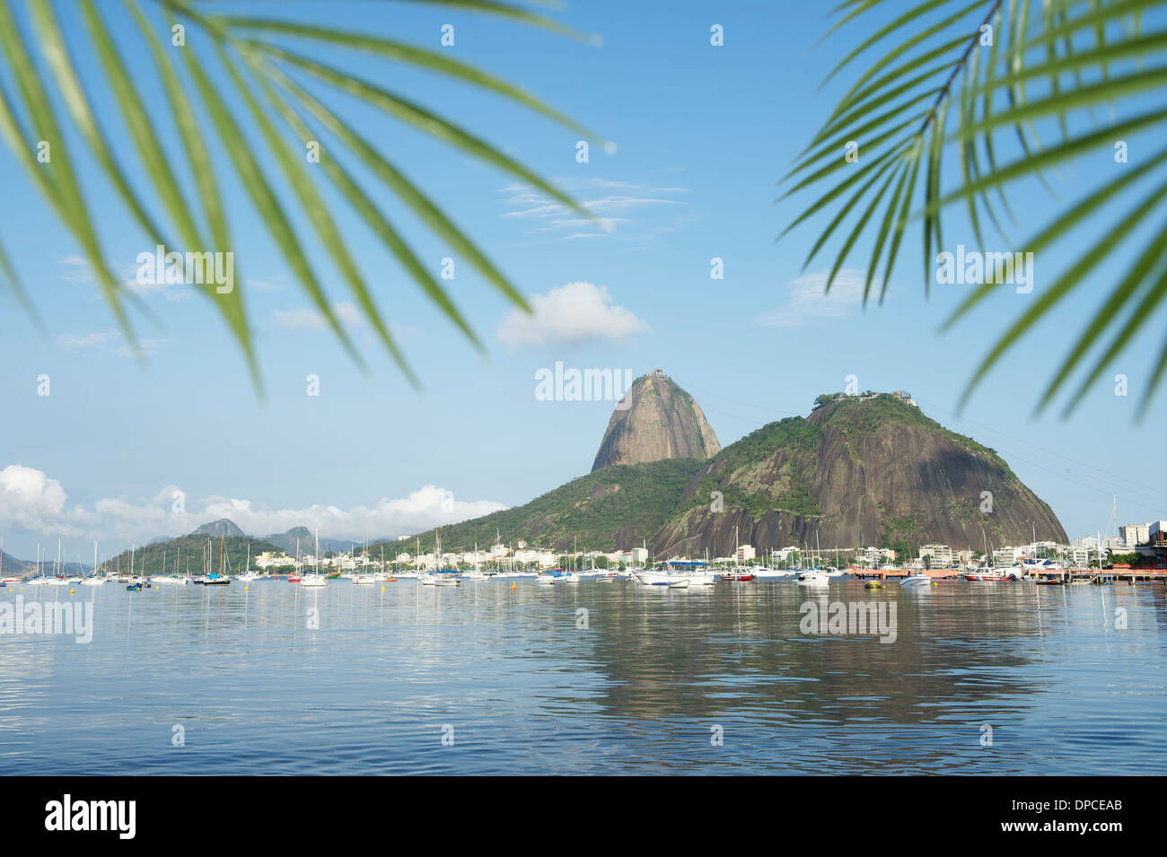 Scenic view of Sugarloaf Pao de Acucar Mountain Rio de Janeiro Brazil from Botafogo Bay framed by palms Stock Photo