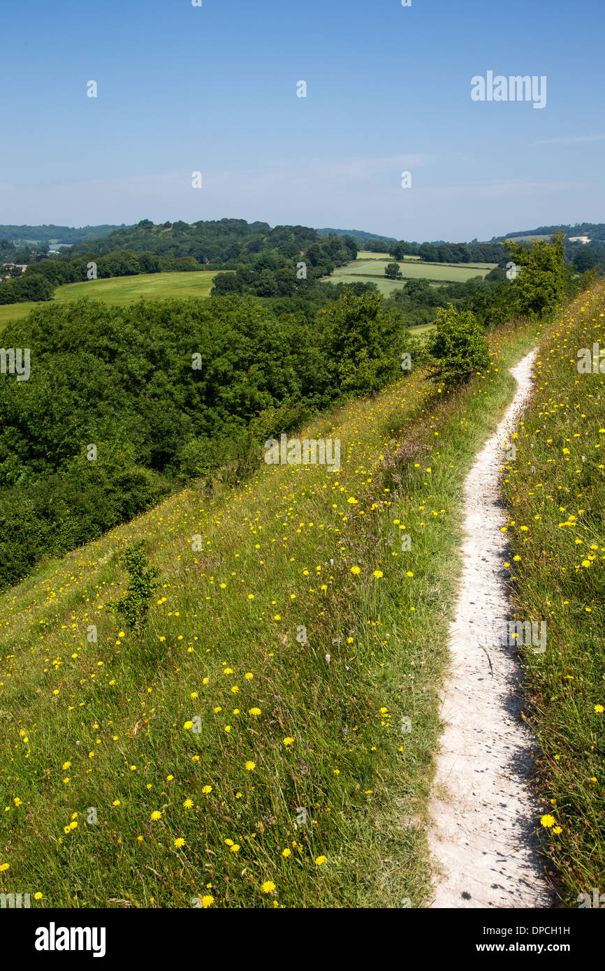 Footpath along the hillside close to Cerne Abbas North Dorset UK Summer 2013 Stock Photo