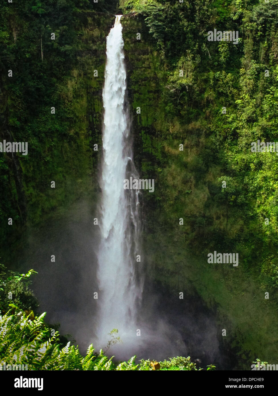 Akaka Falls at Big Island, Hawaii Stock Photo