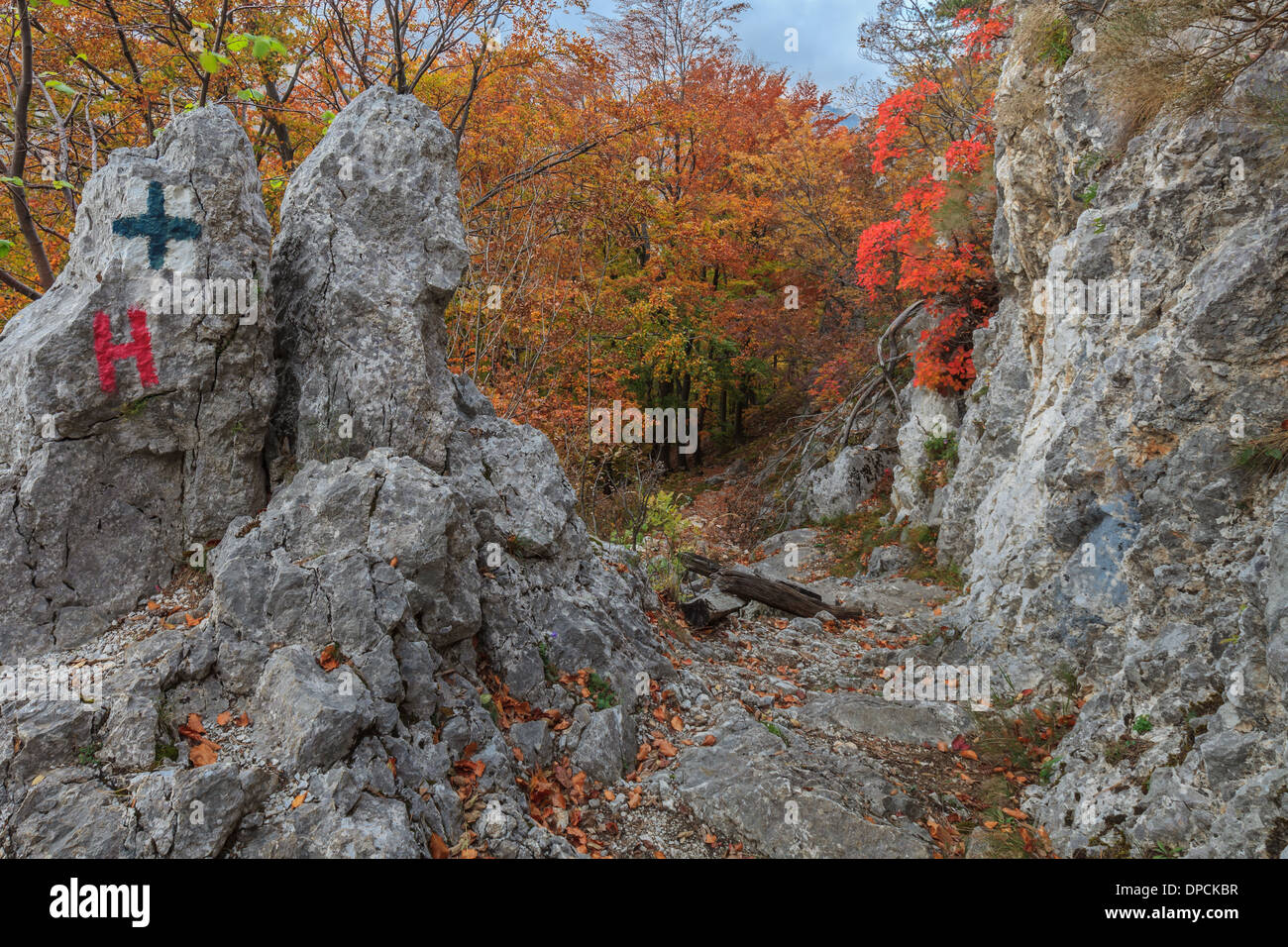 Tasnei Gorge Stock Photo
