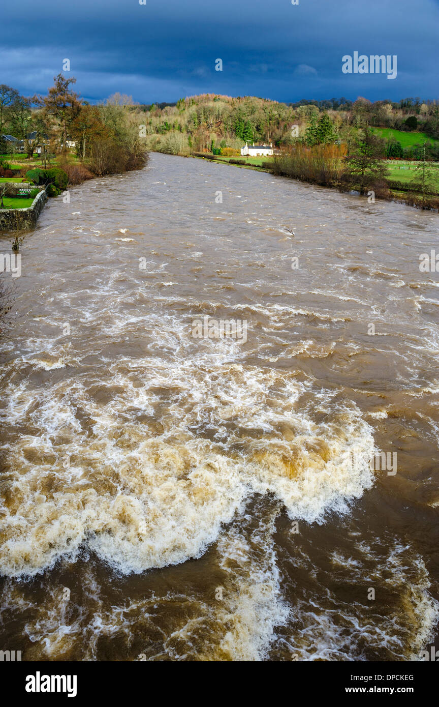 The river Clyde in full flood at Crossford, South Lanarkshire Stock