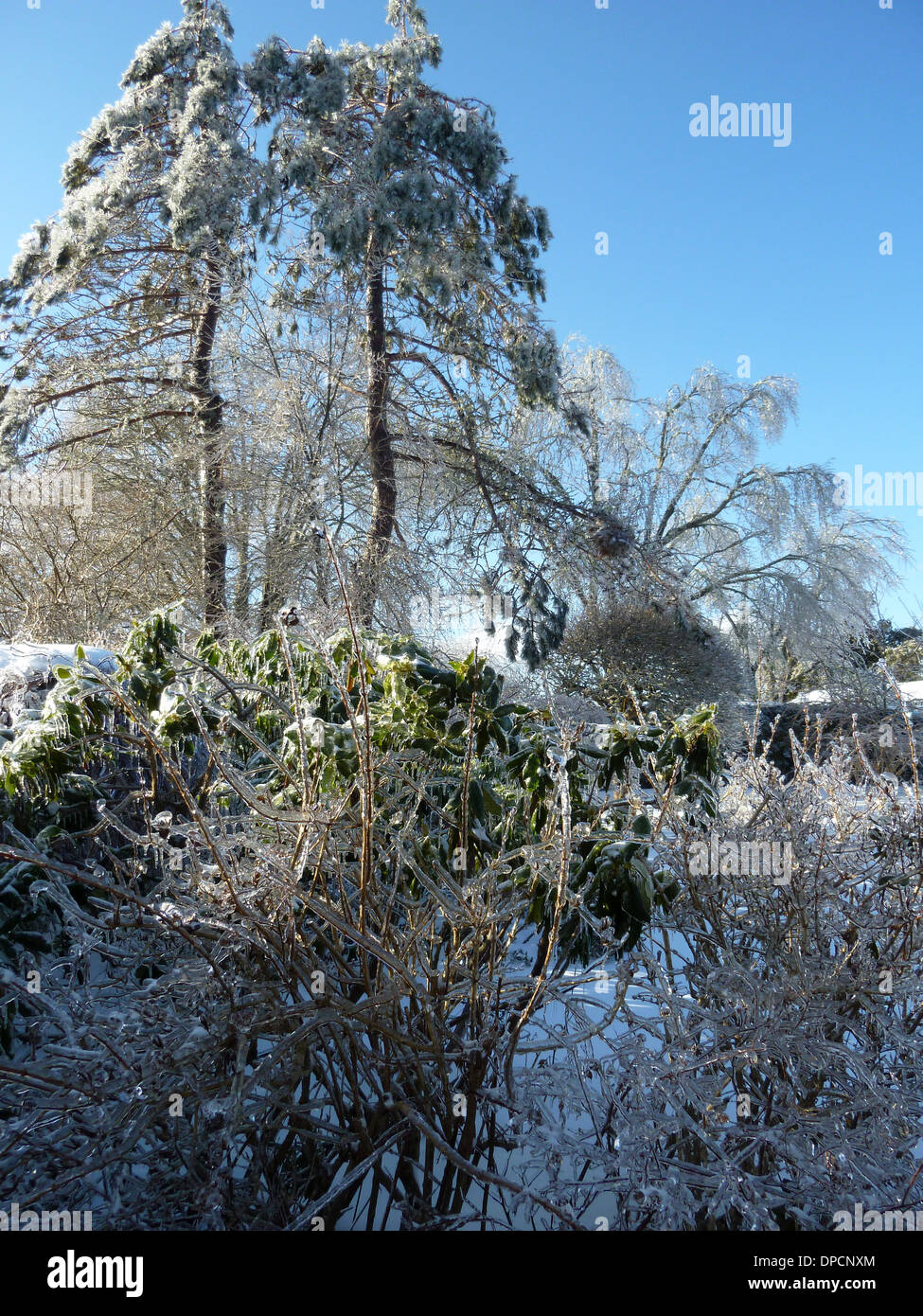 Kingsbrae Gardens, St Andrews, New Brunswick, in winter. Stock Photo