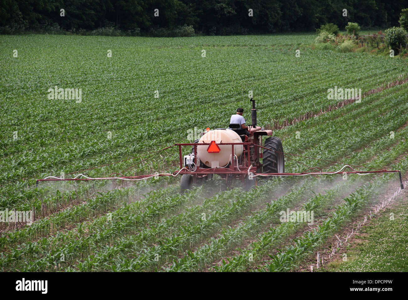 Farmer spraying insecticide on corn Indiana Stock Photo