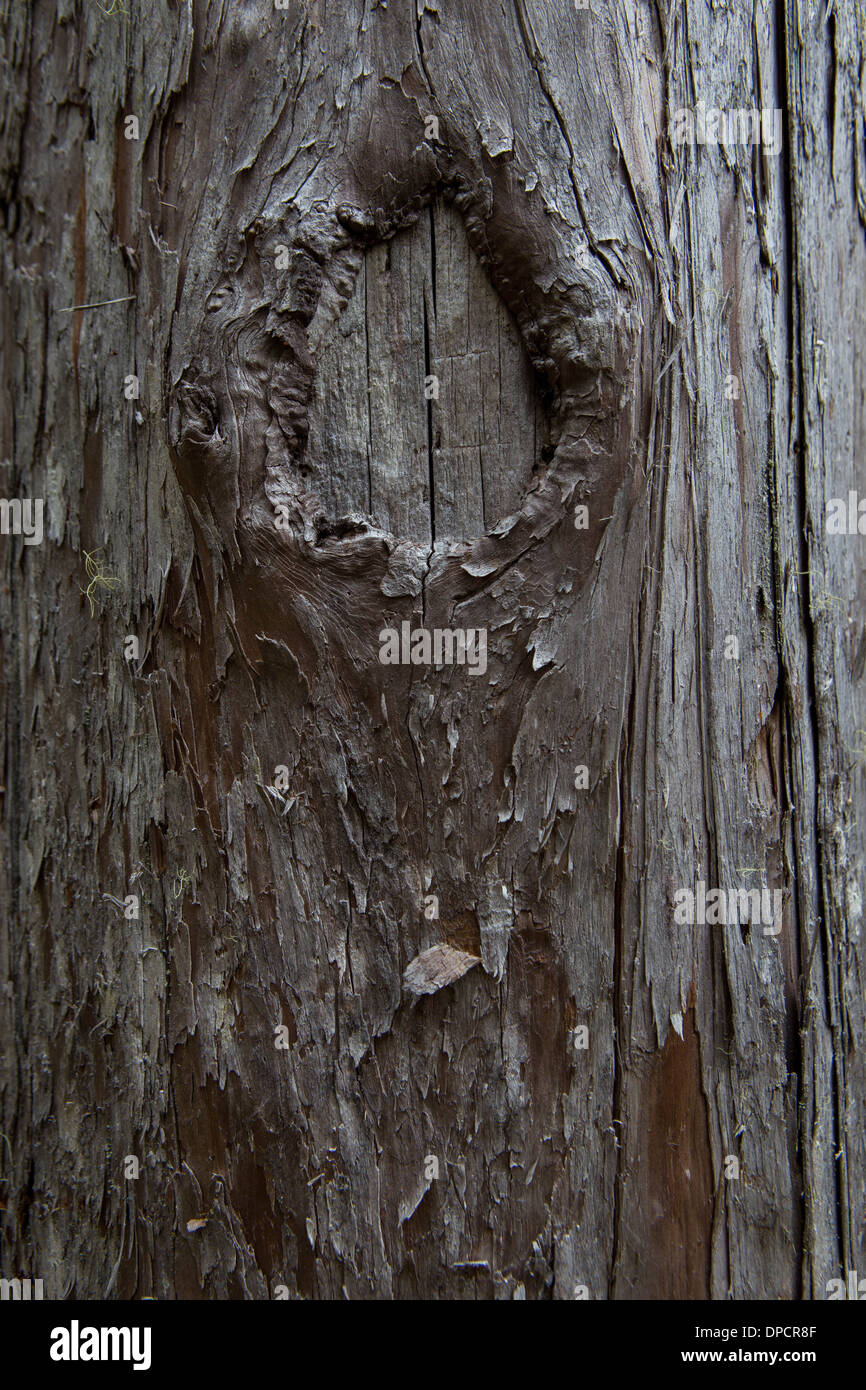 Knot hole hires stock photography and images Alamy