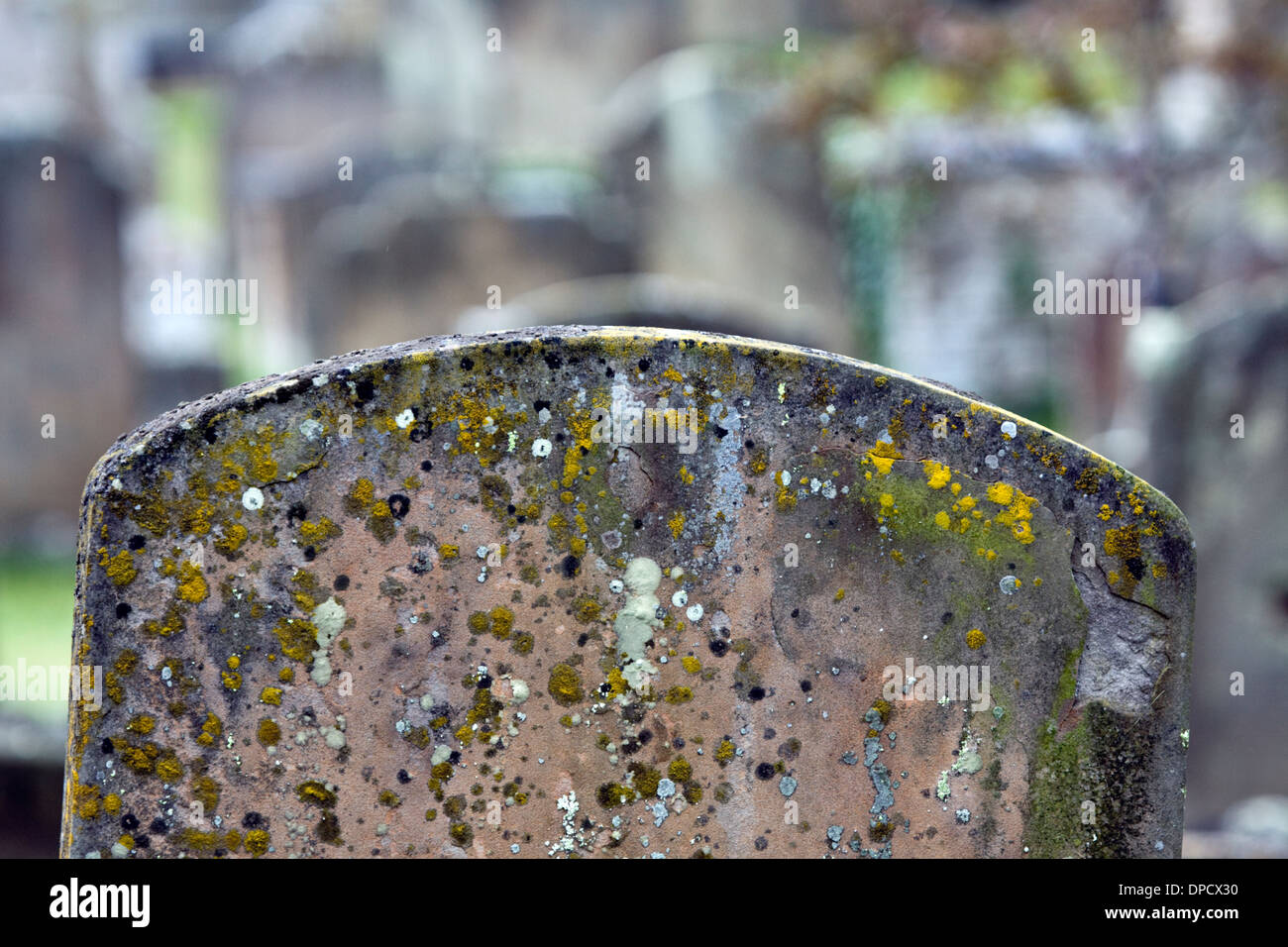 Lichen gravestone hi-res stock photography and images - Alamy