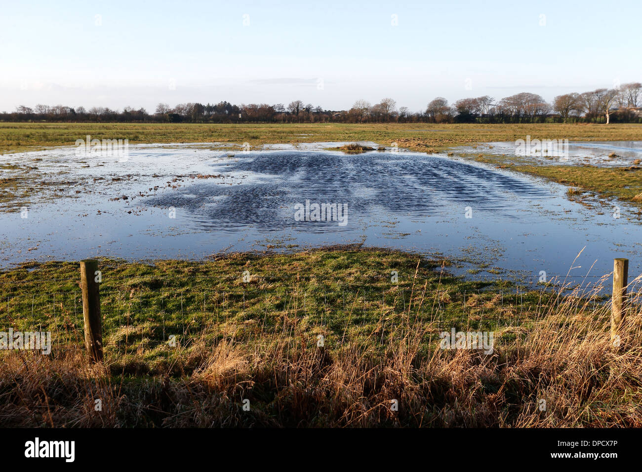 Campfield Marsh RSPB Reserve, Cumbria, January 2014 Stock Photo