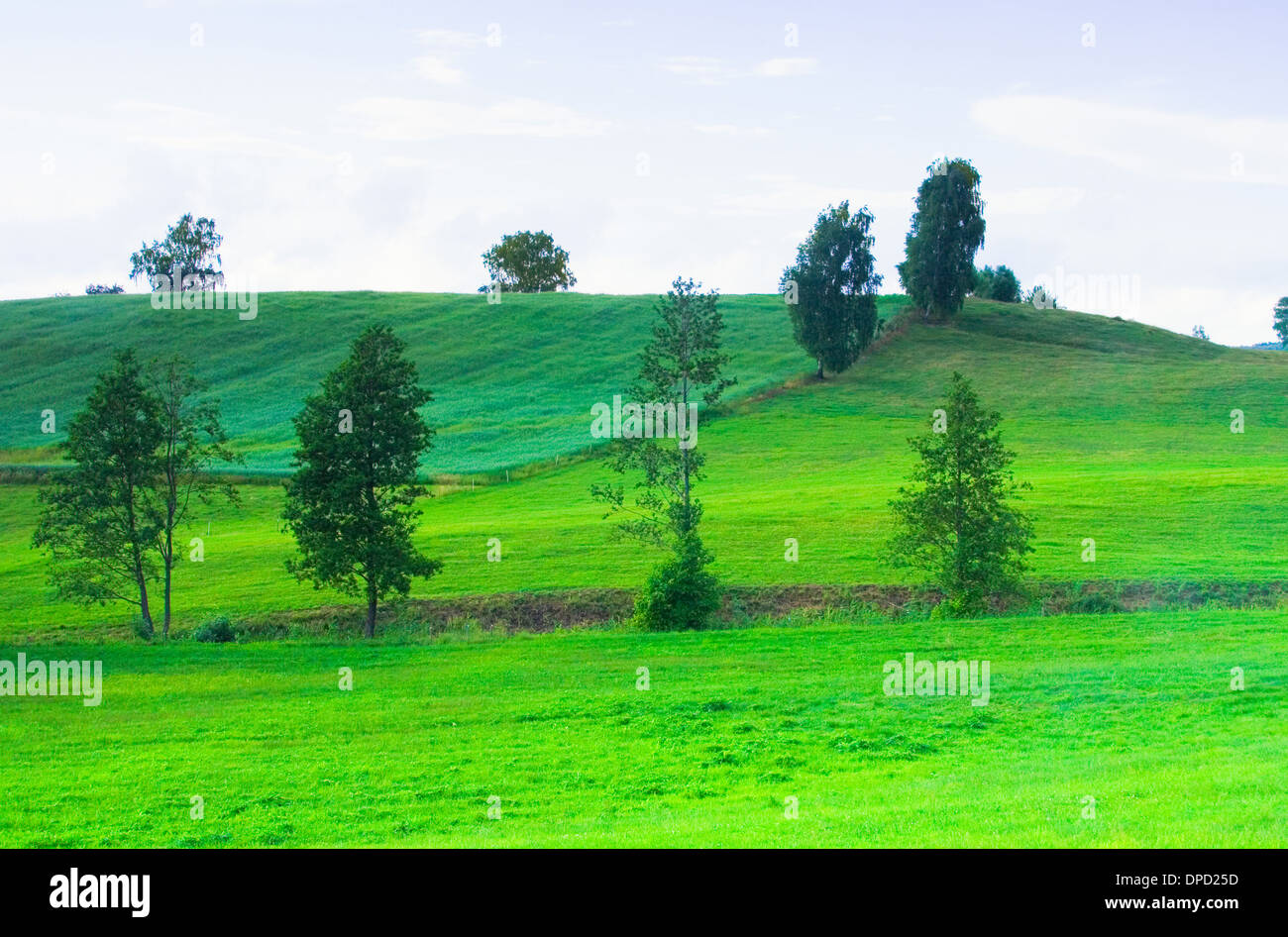 Village landscape with blue sky and grassy field Stock Photo - Alamy