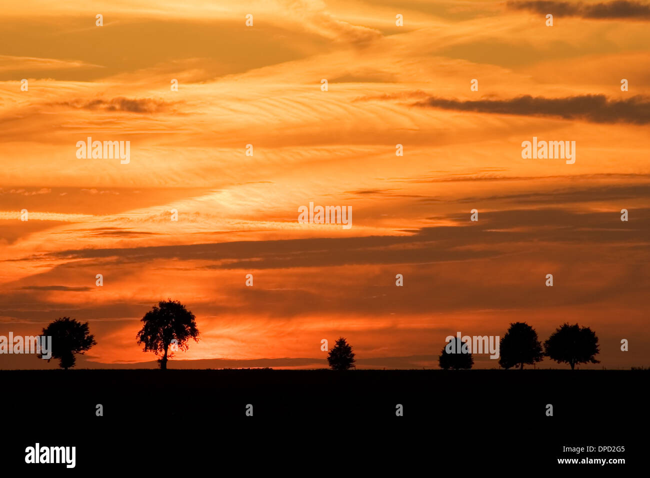 trees and sunset landscape Stock Photo - Alamy