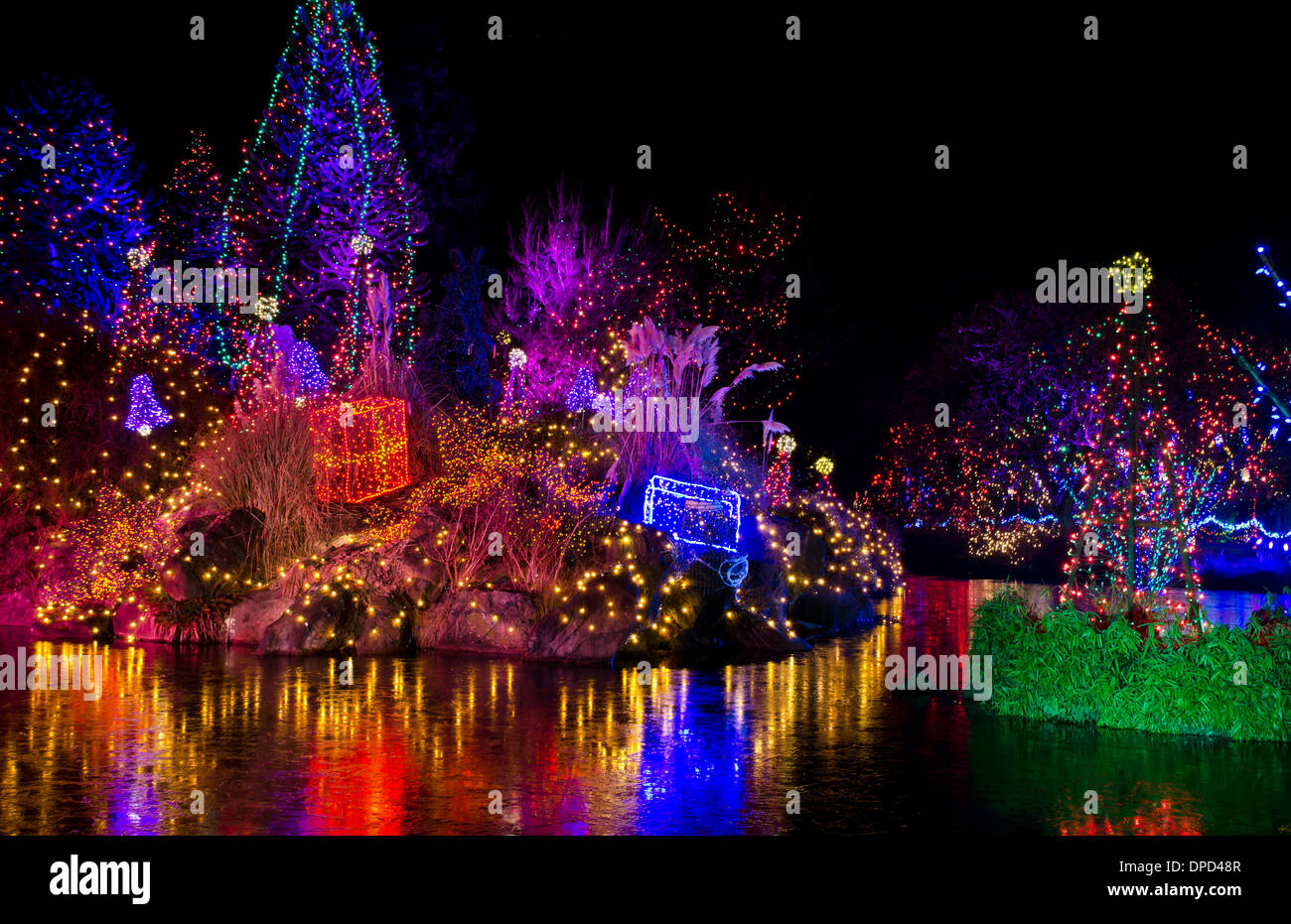 Beautiful colourful holiday light show at van Dusen botanical gardens in Vancouver, BC, Canada. Christmas lights at night Stock Photo
