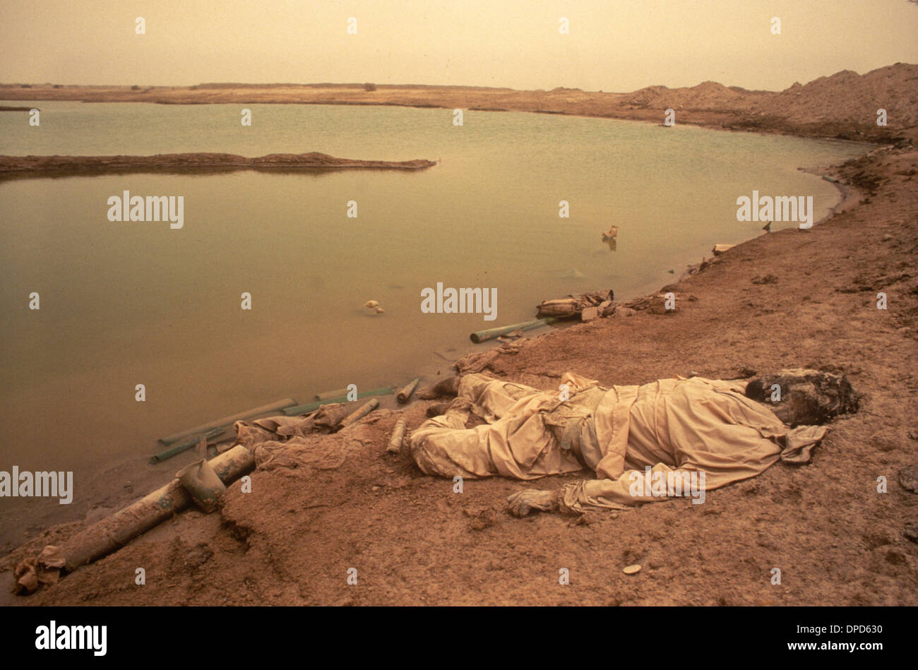 Iran Iraq war also known as First Persian Gulf War or Gulf War 1984.  A dead soldier the Mesopotamian marshes.  A sandstorm in the air. Near Basra, Southern Iraq. 1980s HOMER SYKES Stock Photo