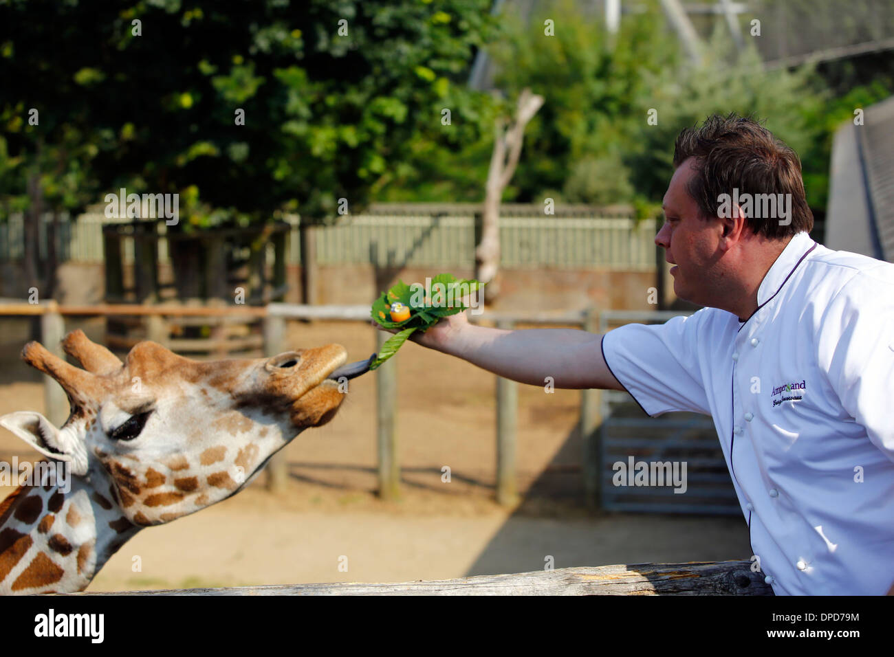 ZSL London Zoo Stock Photo Alamy