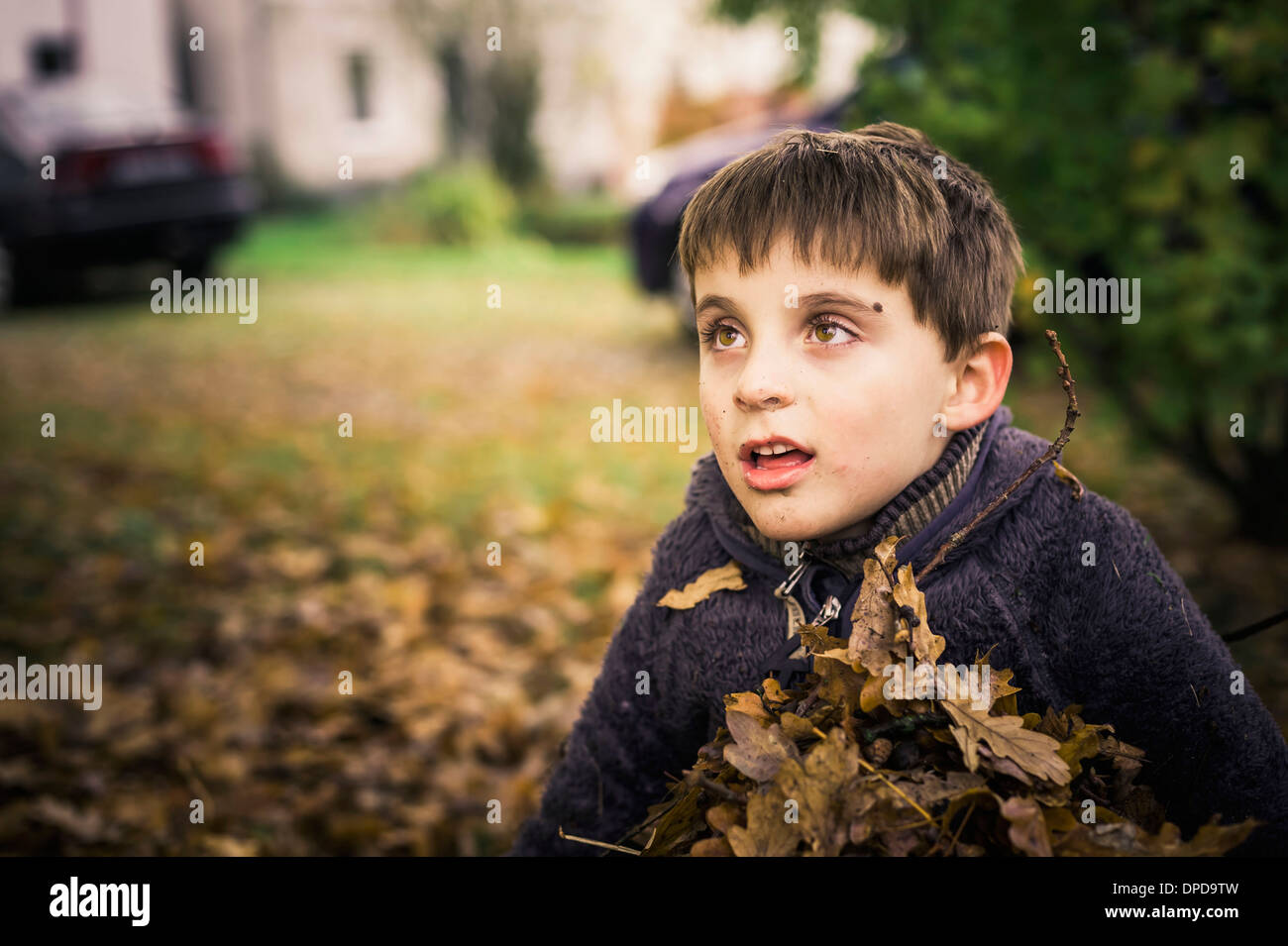 Little boy holding autumn leaves in his arms Stock Photo - Alamy