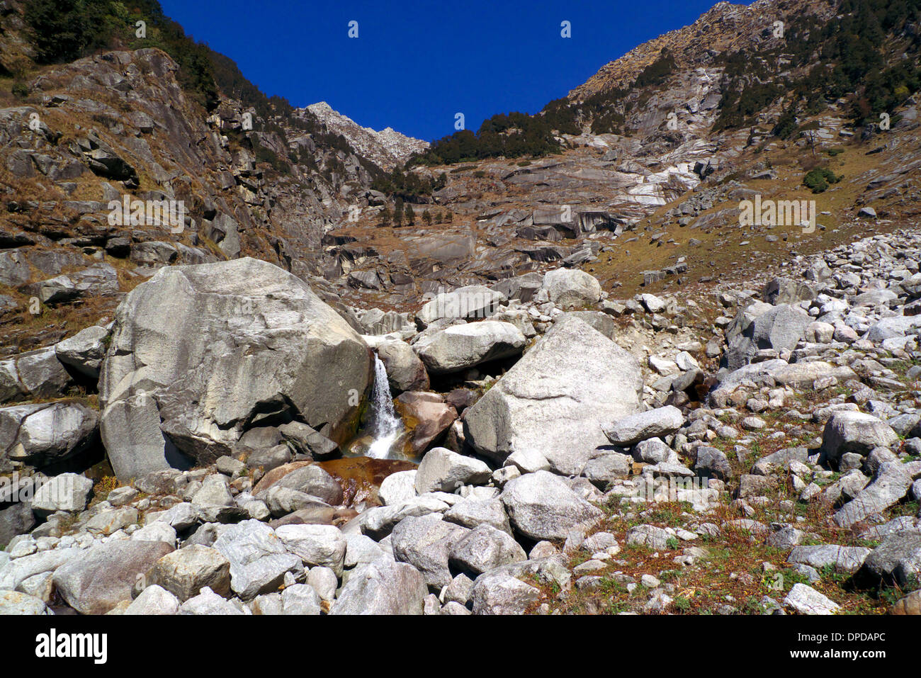 Stream by pilgrimage route, Bhaga in Dhauladhar mountains,nr Mcleodganj, Himachal Pradesh, N. India. Stock Photo