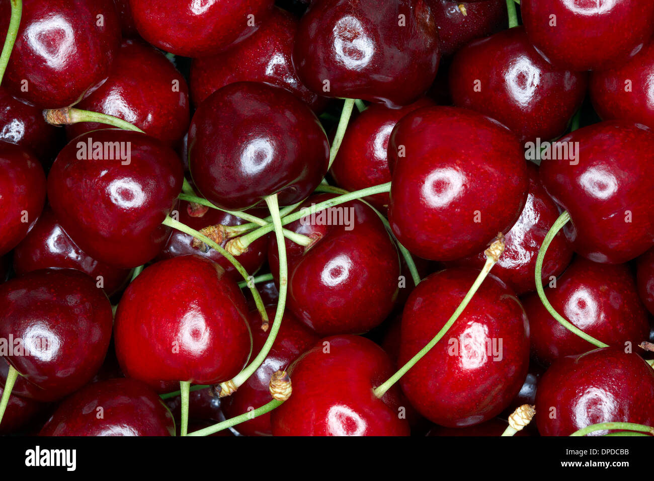 Cherries, full frame Stock Photo