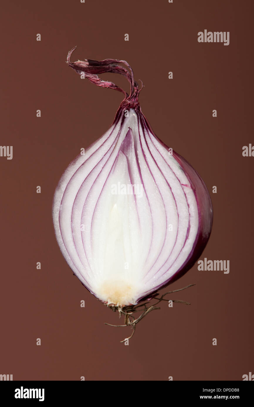Section single red onion sliced hi-res stock photography and images - Alamy
