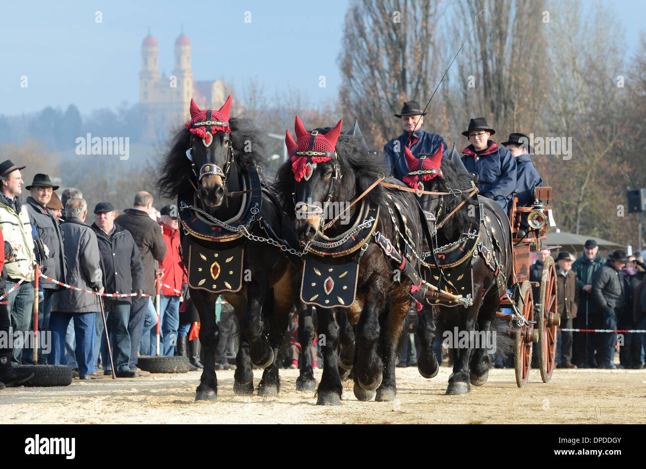 Ellwangen, Germany. 13th Jan, 2014. Anton Schiele presents a four-in-hand drawn by Noriker horses during the horse and carriage prize at the 'Kalter Markt' (lit. cold market) horse market in Ellwangen, Germany, 13 January 2014. Since the 17th century the 'Kalter Markt' horse market annualy takes place on the first monday after Epiphany. A big parade and the awarding of a prize for horses and carriages are part of the event. Photo: FRANZISKA KRAUFMANN/Dpa/Alamy Live News Stock Photo
