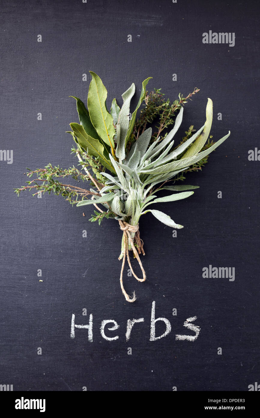 Tied fresh herbs on blackboard Stock Photo Alamy