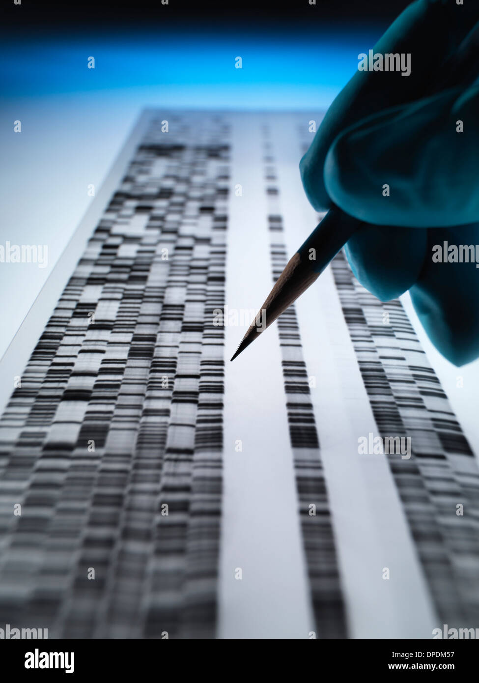 Scientist viewing DNA gel used in genetics, forensic, pharma research, biotechnology and biomedical science Stock Photo