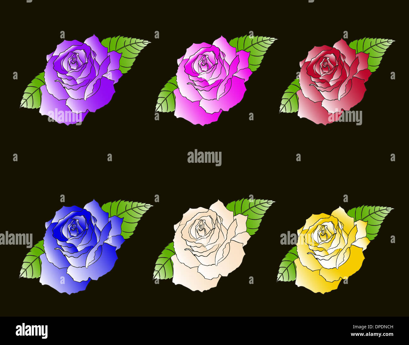 Six Pack Roses Stock Photo - Alamy