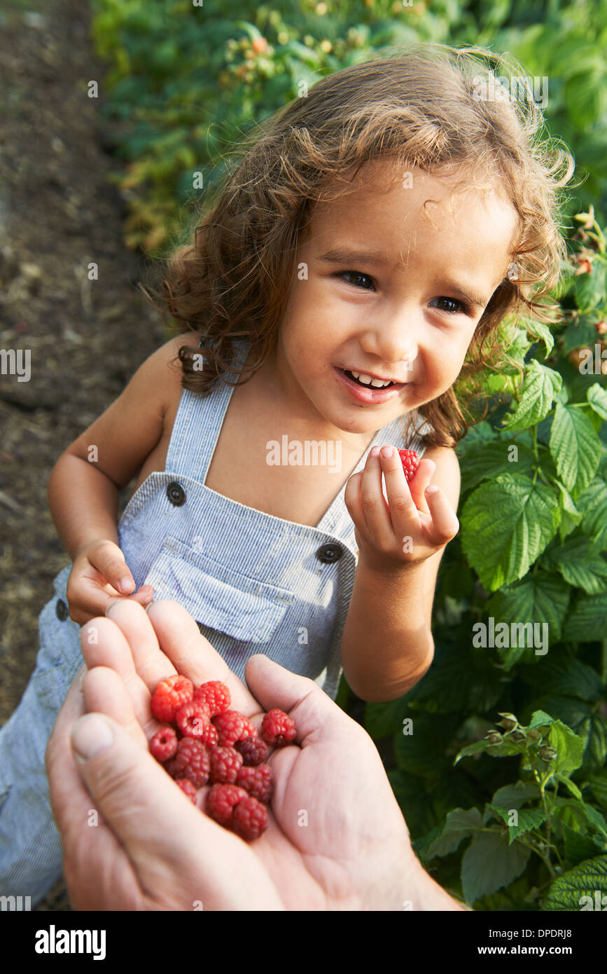 Grandfather sharing raspberries with grandson Stock Photo