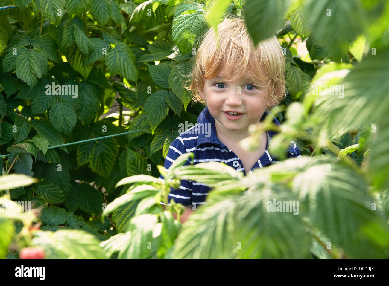 Young boy playing in garden Stock Photo