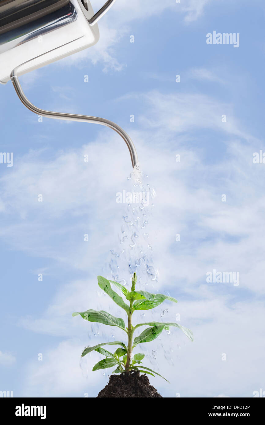 Watering can pouring droplets of water on plant Stock Photo