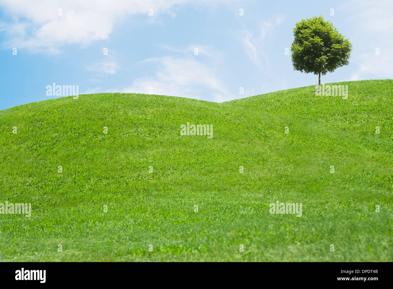 Digitally generated image of grassy hills and tree Stock Photo