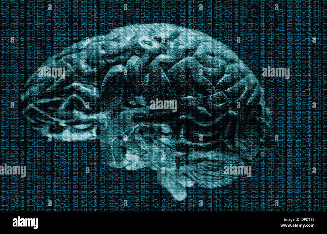 Studio shot of brain and data Stock Photo