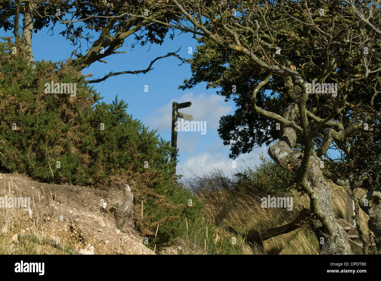 Coastal path sign post Stock Photo - Alamy
