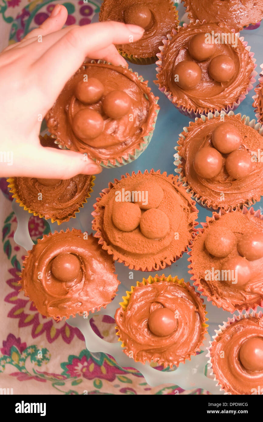 Close up of hand picking up chocolate cupcake Stock Photo