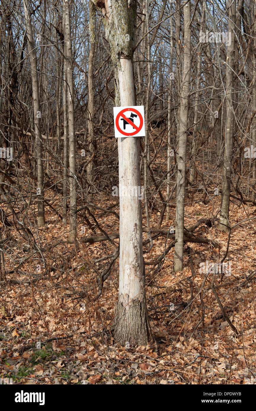 "No dogs allowed" sign nailed to a tree in Oka National park, province