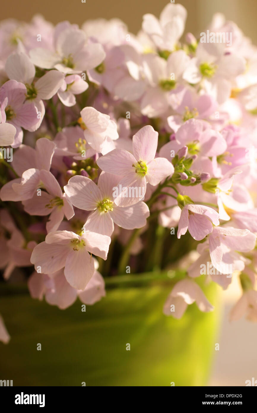 Gentle pink flowers in green vase in country house Stock Photo
