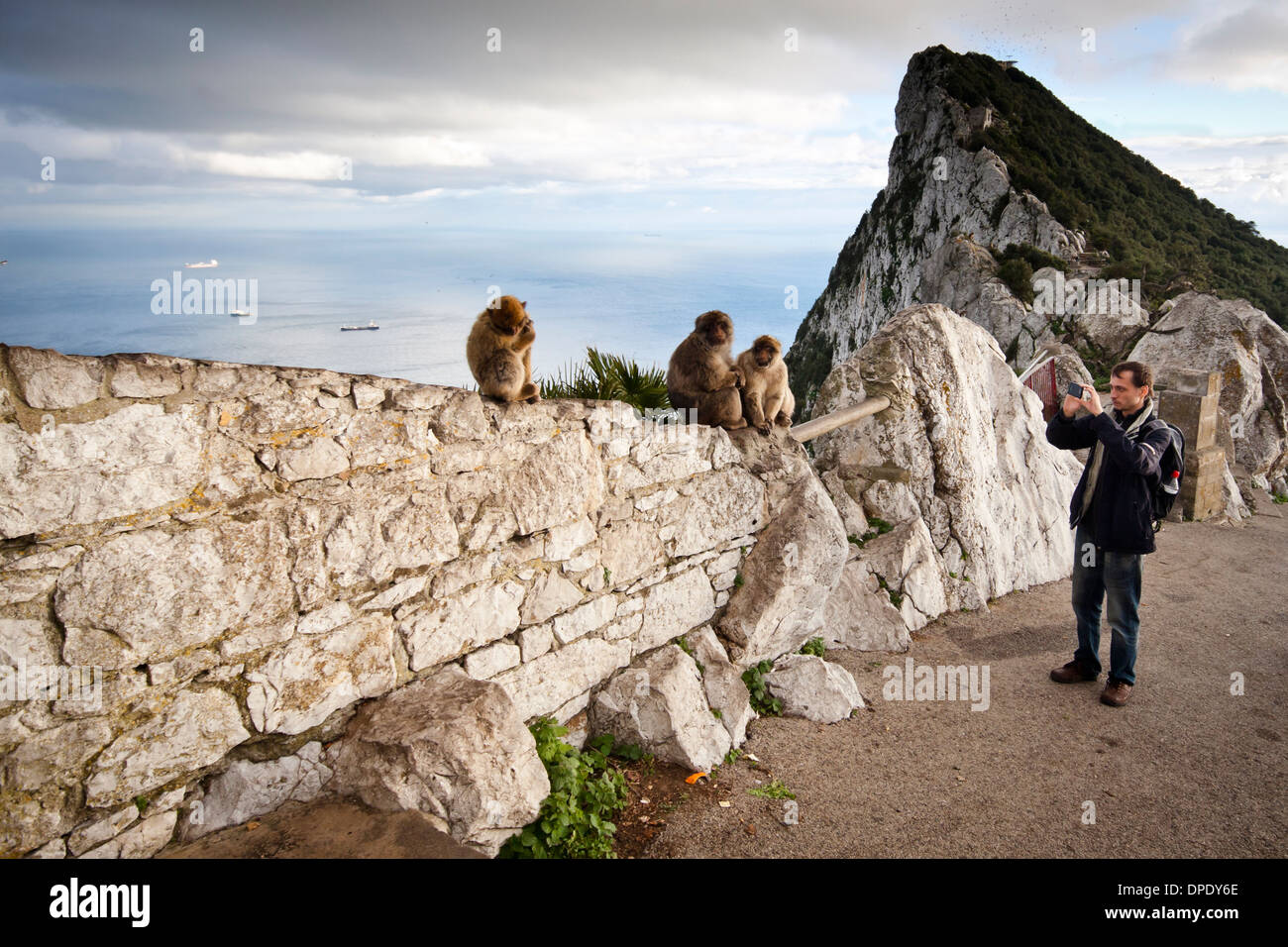 Tourist taking photo of monkeys on the Rock of Gibraltar. Stock Photo