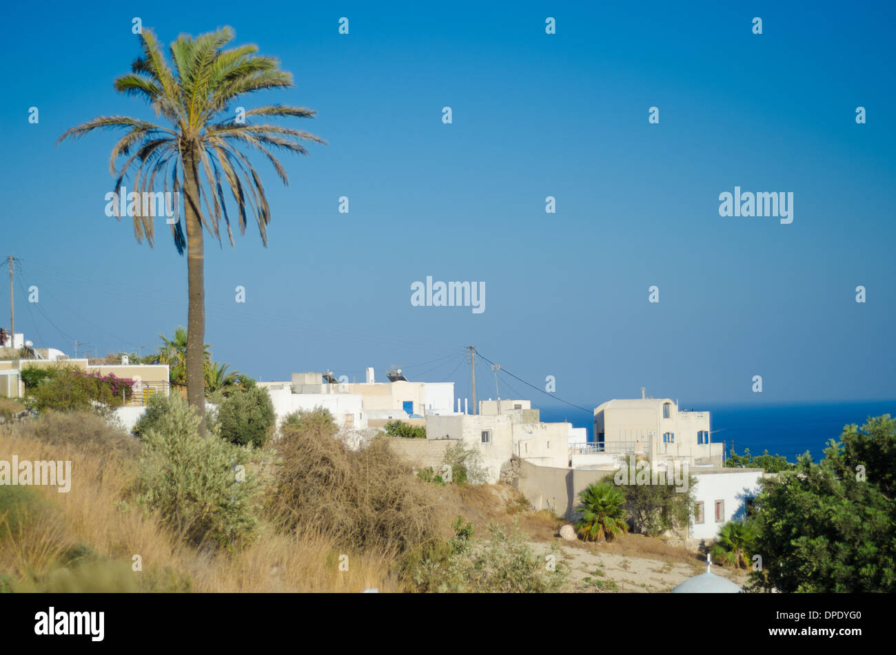 Lone palm tree in Santorini, Greece Stock Photo