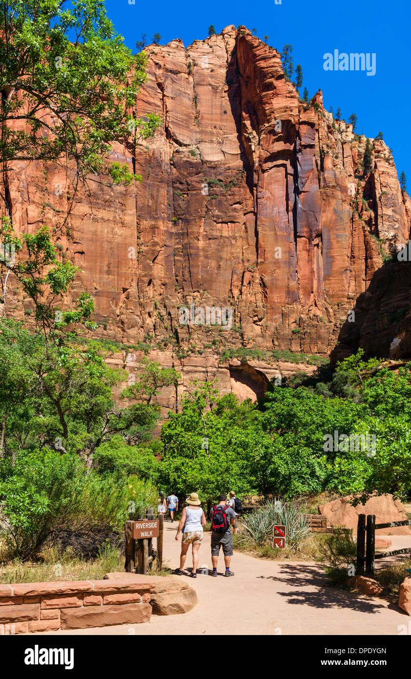 Walkers on the Riverside Walk at Temple of Sinawava, Zion Canyon, Zion National Park, Utah, USA Stock Photo