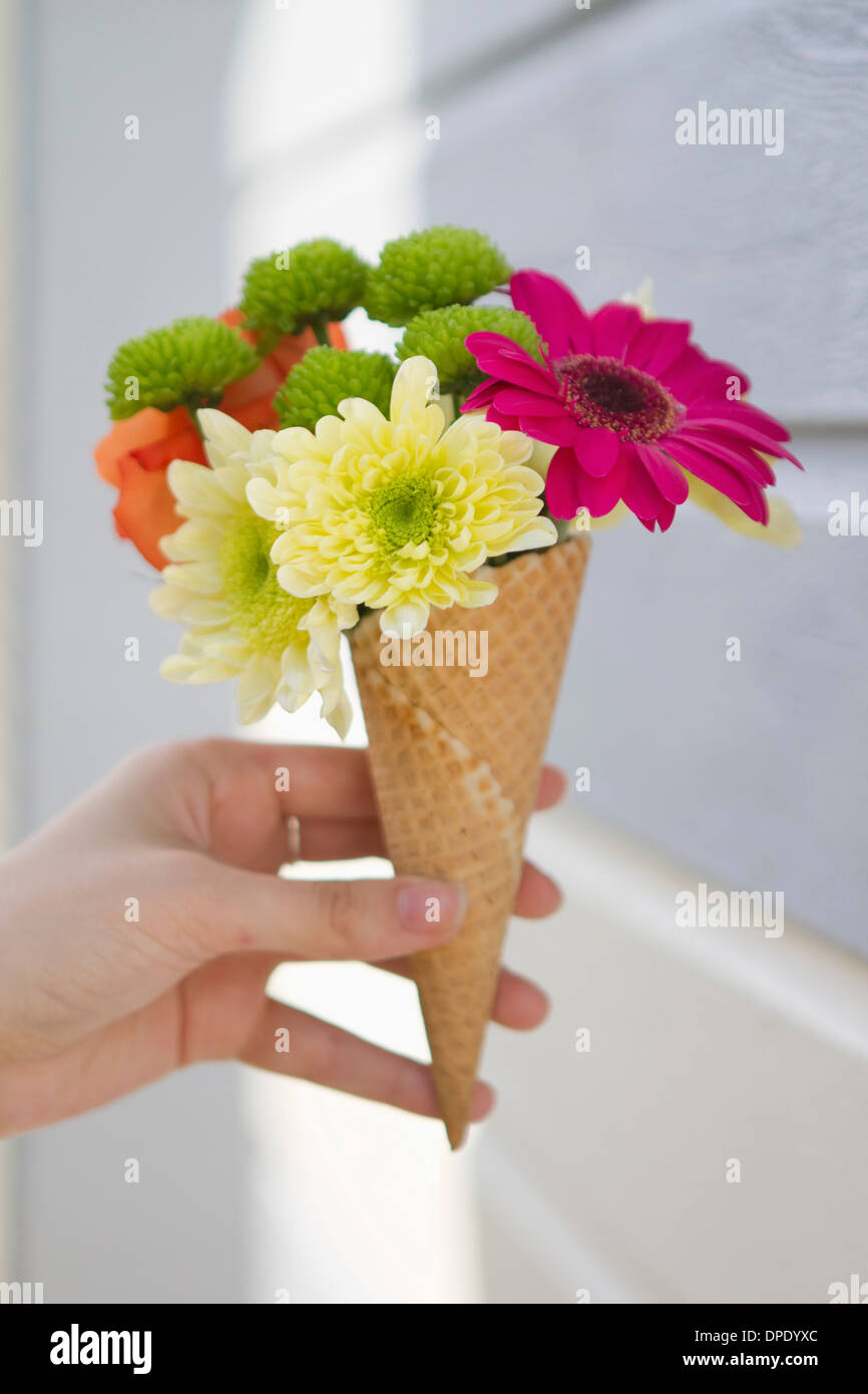 Detail of female hand holding flower cone Stock Photo