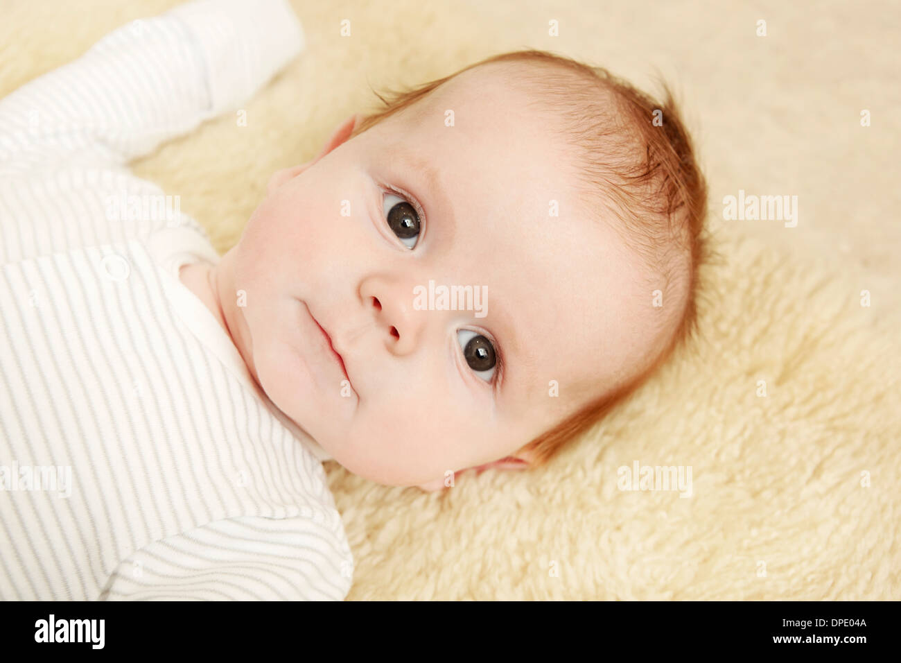 Two month old baby boy lying on furry blanket Stock Photo Alamy