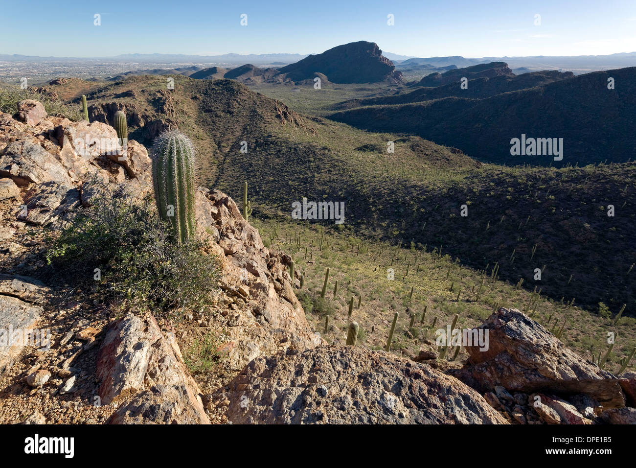 Tucson Mountains, Saguaro National Park, West, Tucson Arizona Stock Photo