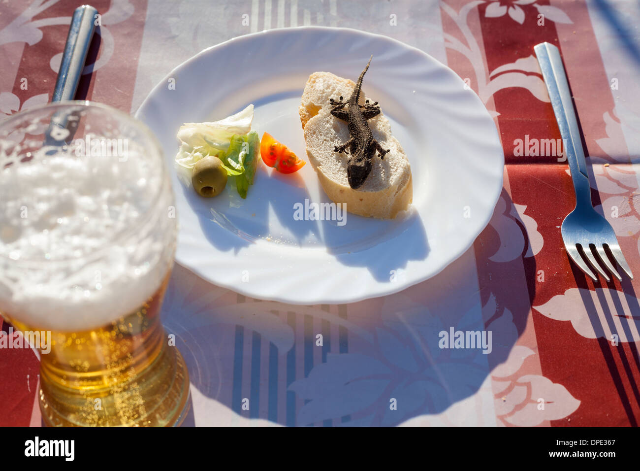 Unusual dish with lizard, bread, vegetable and glass of beer. Stock Photo