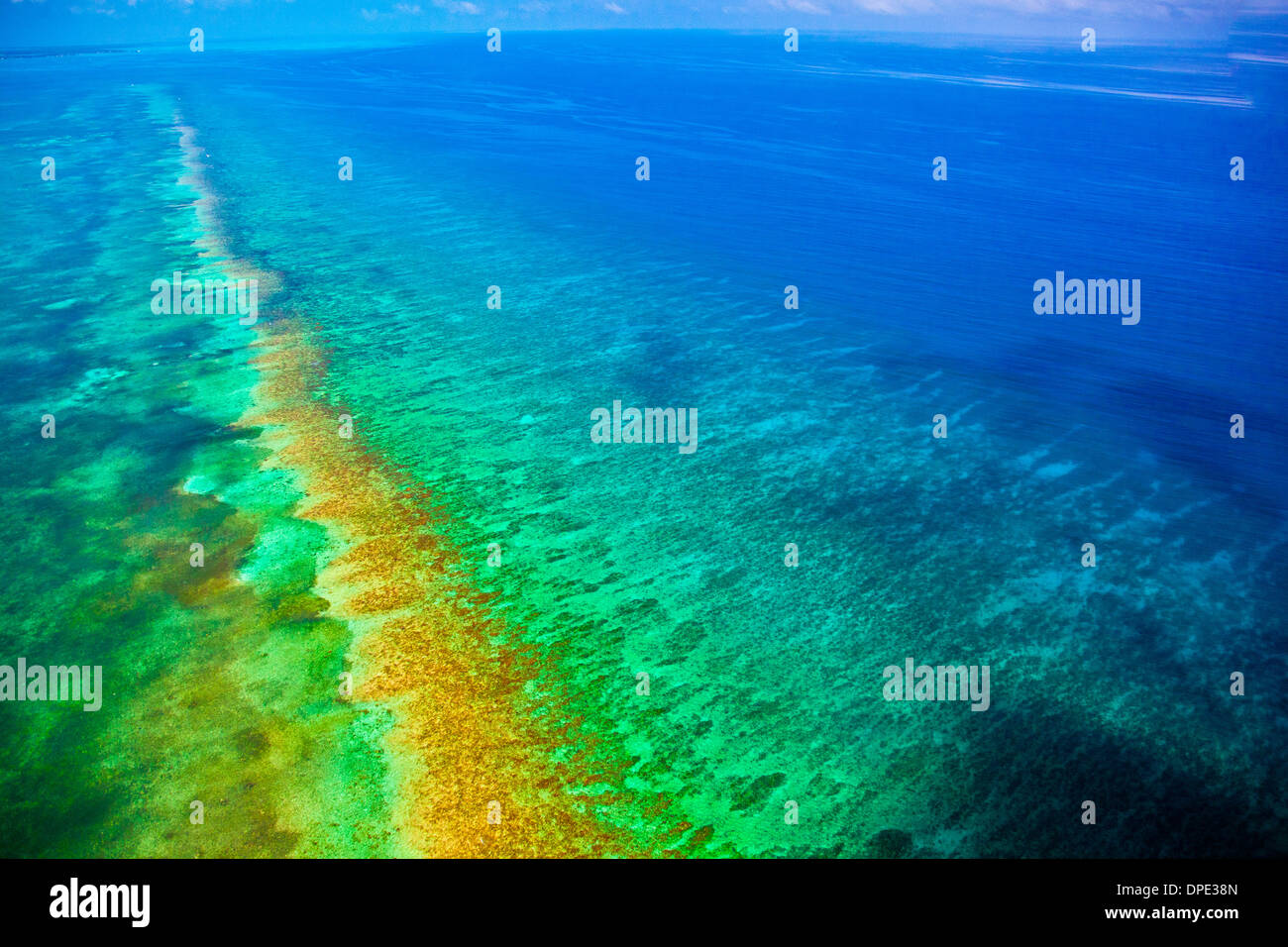 Reef detail Belize Caribbean Sea Meso American Reef Reserve Lighthouse Reef Atoll Aerial view Stock Photo