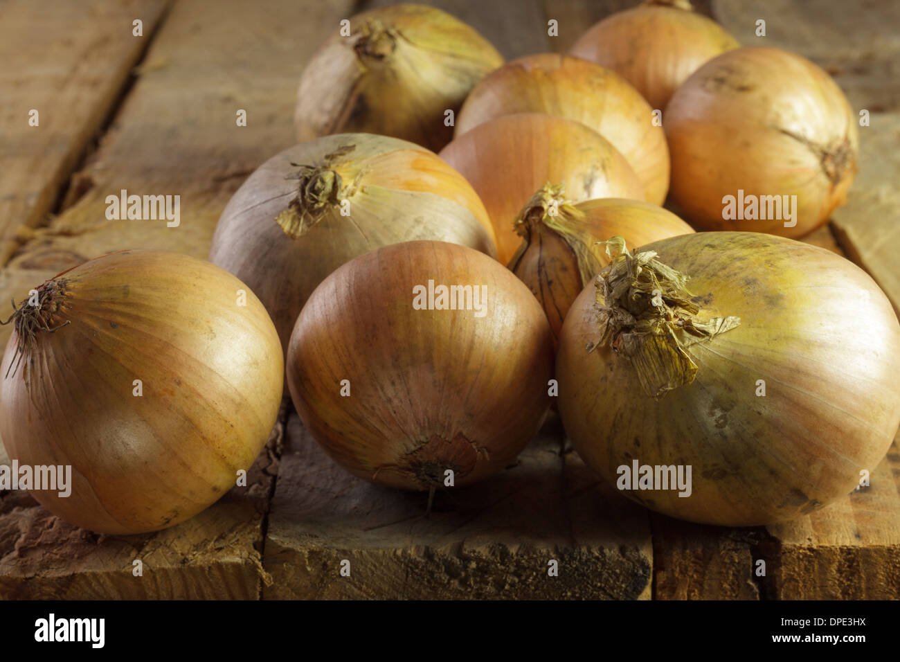 Onions Stock Photo