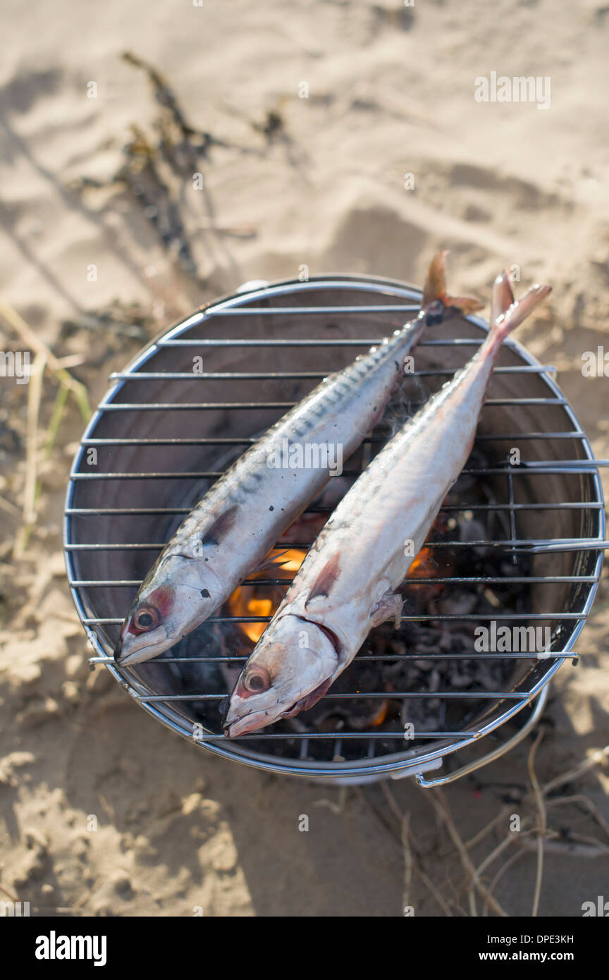Two fish cooking over hot coals Stock Photo