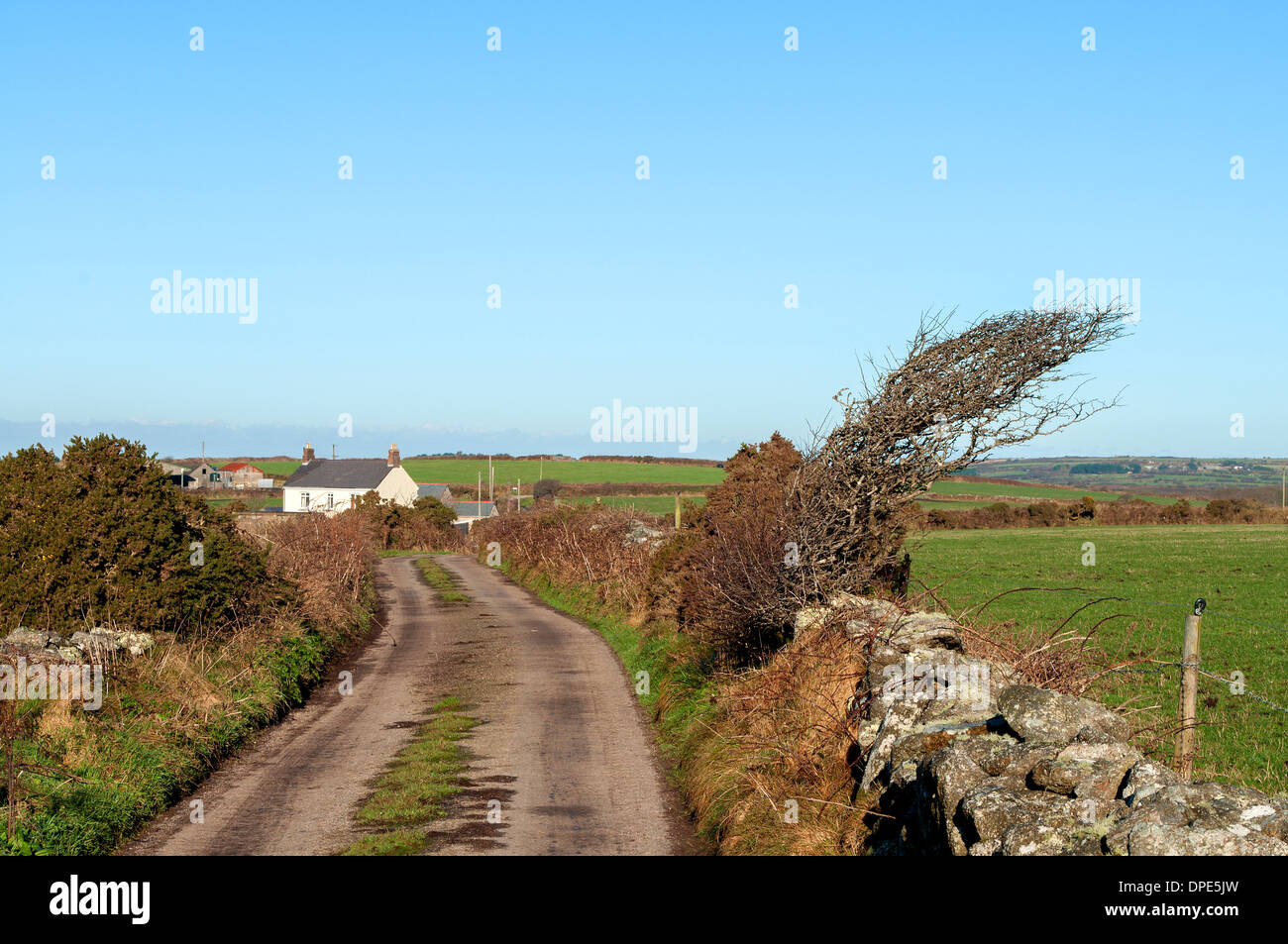 a quiet country lane on the lizard peninsular in cornwall, uk Stock Photo