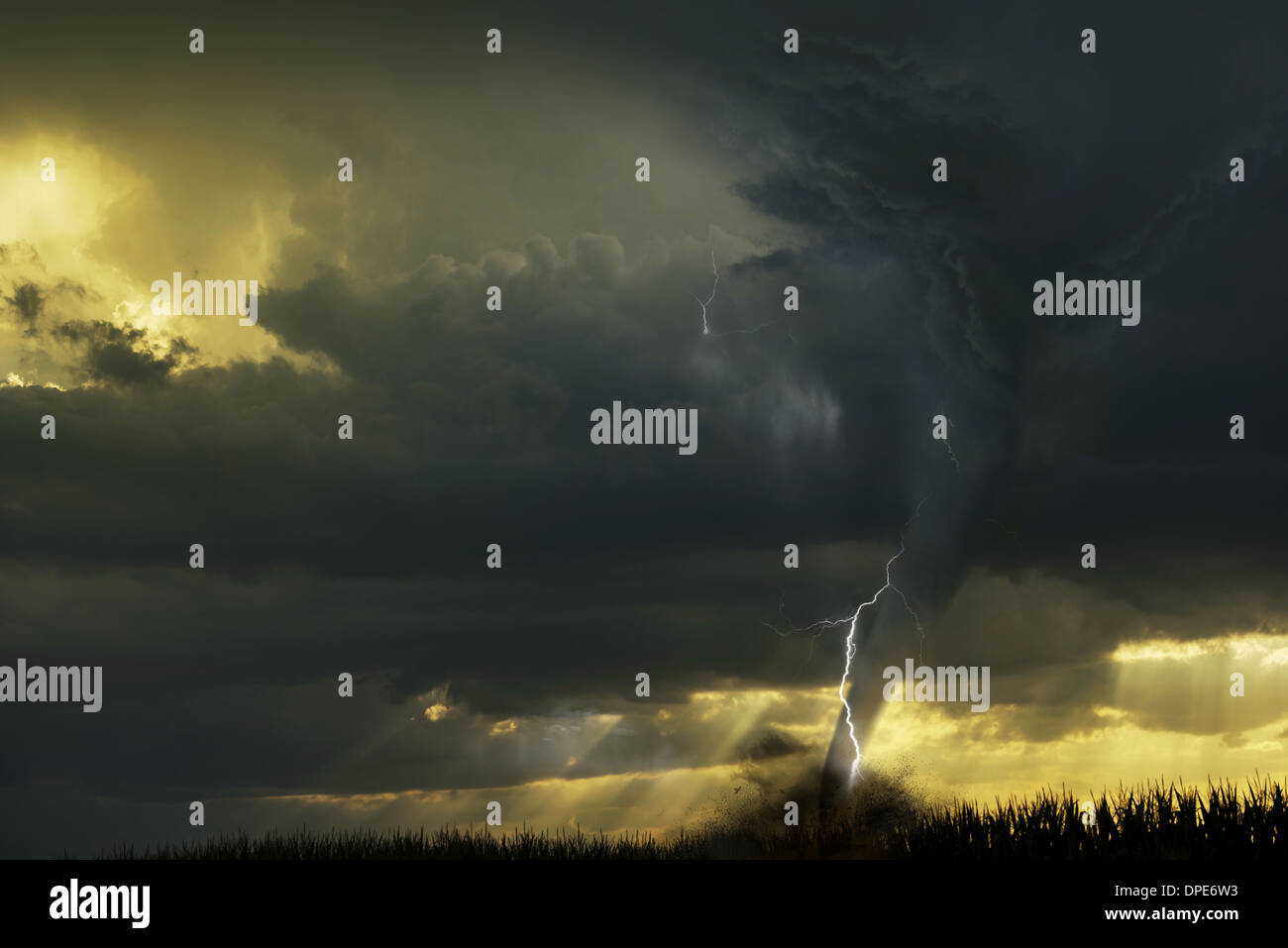 Tornado Outbreak. Tornado Alley Super Cell with Tornado Touching the Ground. Massive Severe Storm. Natural Disasters Collection. Stock Photo