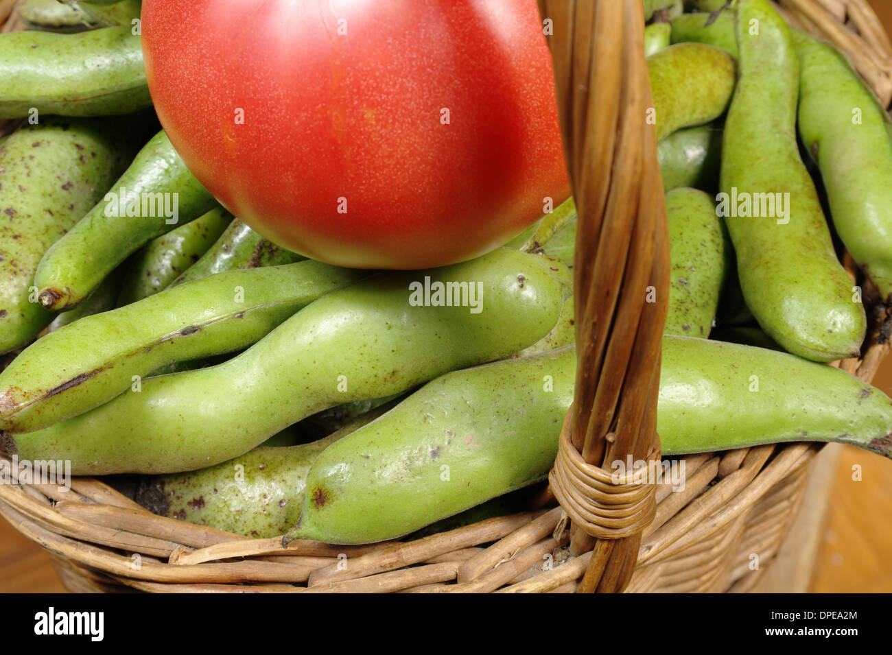 Broad bean harvest hi-res stock photography and images - Alamy